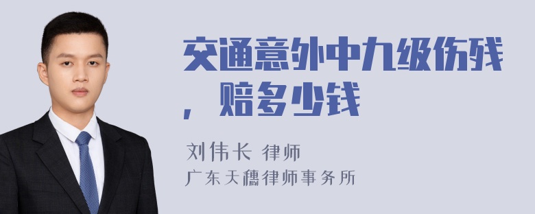 交通意外中九级伤残，赔多少钱