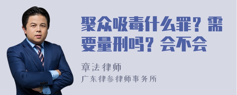 聚众吸毒什么罪？需要量刑吗？会不会