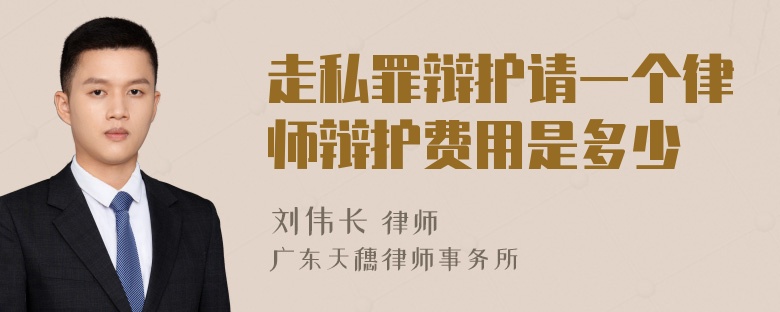 走私罪辩护请一个律师辩护费用是多少