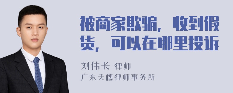 被商家欺骗，收到假货，可以在哪里投诉