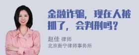 金融诈骗，现在人被抓了，会判刑吗？