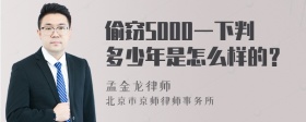 偷窃5000一下判多少年是怎么样的？