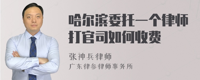 哈尔滨委托一个律师打官司如何收费