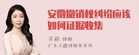 安徽撤销权纠纷应该如何证据收集