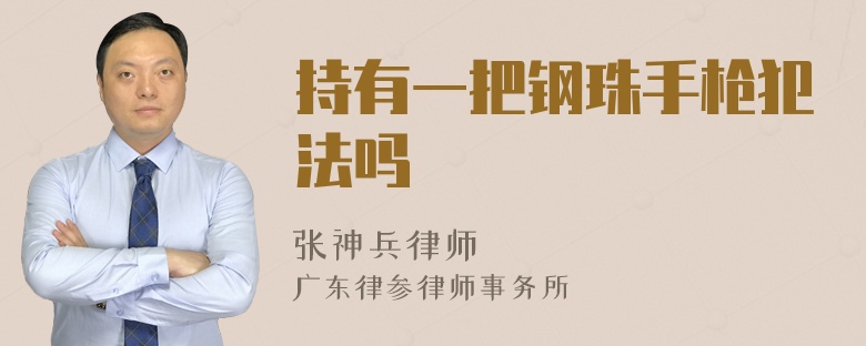 持有一把钢珠手枪犯法吗