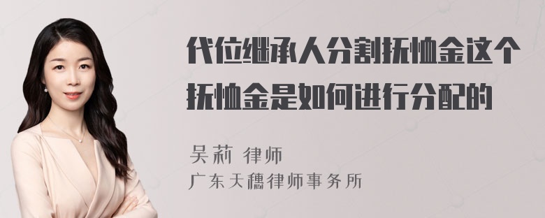 代位继承人分割抚恤金这个抚恤金是如何进行分配的