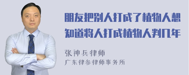 朋友把别人打成了植物人想知道将人打成植物人判几年