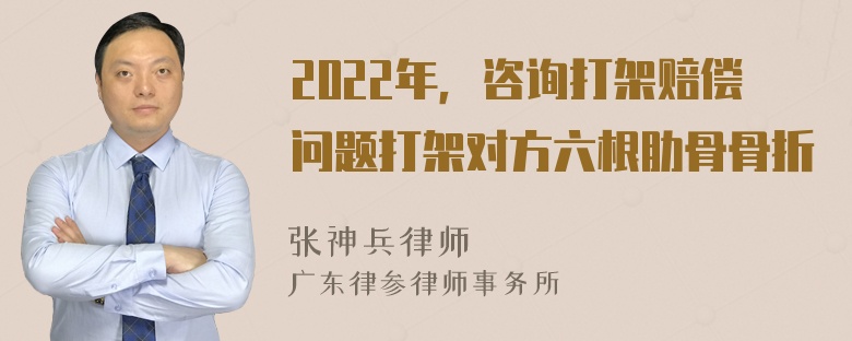 2022年，咨询打架赔偿问题打架对方六根肋骨骨折