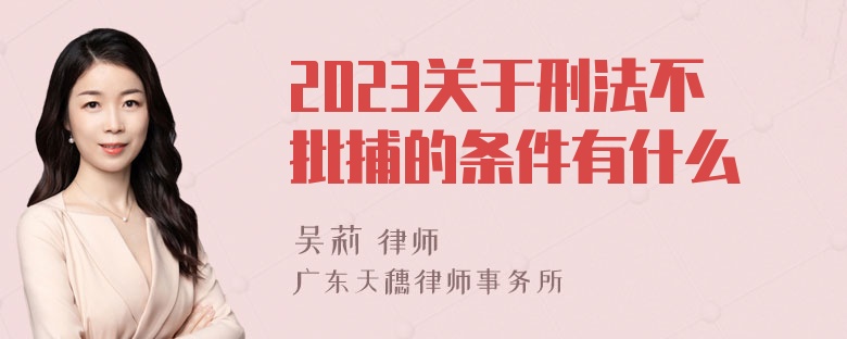 2023关于刑法不批捕的条件有什么