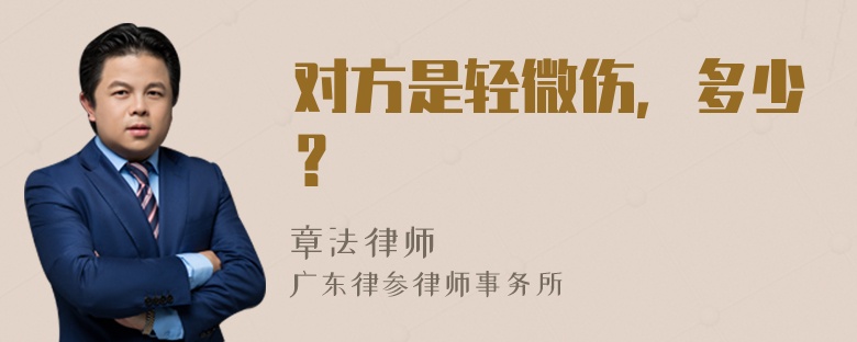 对方是轻微伤，多少？