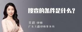 搜查的条件是什么？