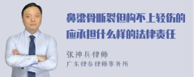 鼻梁骨断裂但构不上轻伤的应承担什么样的法律责任