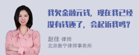 我欠金融元钱，现在我已经没有钱还了，会起诉我吗？