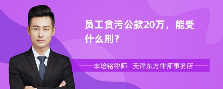 员工贪污公款20万，能受什么刑？