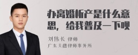 办离婚析产是什么意思，给我普及一下呗