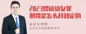 2023嫖宿幼女罪刑罚是怎么样规定的