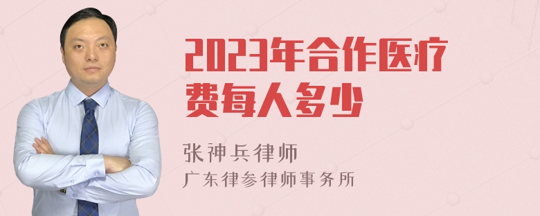 2023年合作医疗费每人多少