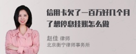 信用卡欠了一百万好几个月了想停息挂账怎么做