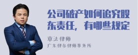 公司破产如何追究股东责任，有哪些规定