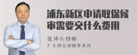 浦东新区申请取保候审需要交什么费用