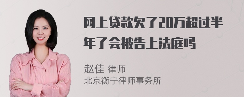 网上贷款欠了20万超过半年了会被告上法庭吗