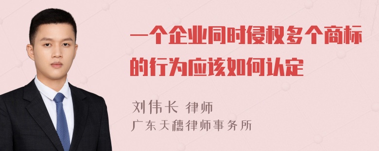 一个企业同时侵权多个商标的行为应该如何认定