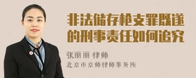 非法储存枪支罪既遂的刑事责任如何追究