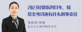 2023轻微伤判几年，赔偿多少钱还有什么刑事责任