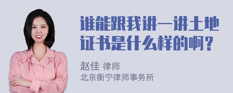 谁能跟我讲一讲土地证书是什么样的啊？