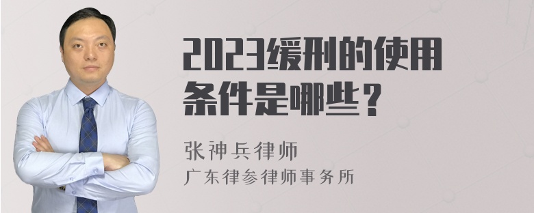 2023缓刑的使用条件是哪些？