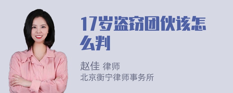 17岁盗窃团伙该怎么判