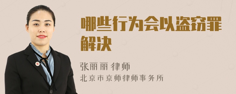 哪些行为会以盗窃罪解决