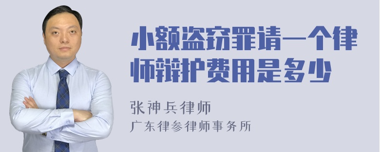 小额盗窃罪请一个律师辩护费用是多少