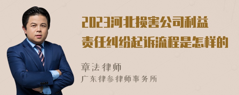 2023河北损害公司利益责任纠纷起诉流程是怎样的