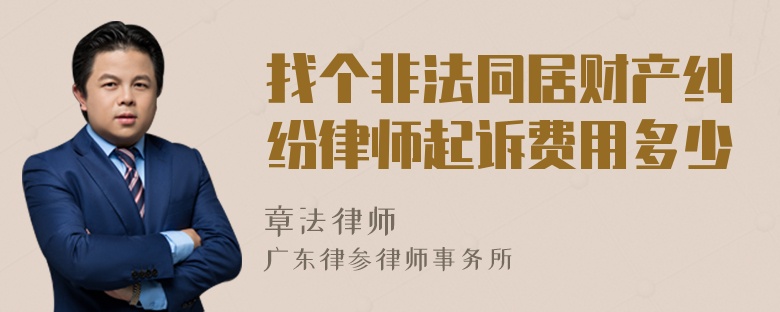 找个非法同居财产纠纷律师起诉费用多少