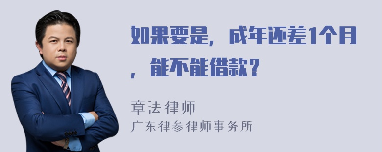 如果要是，成年还差1个月，能不能借款？