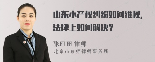 山东小产权纠纷如何维权，法律上如何解决？