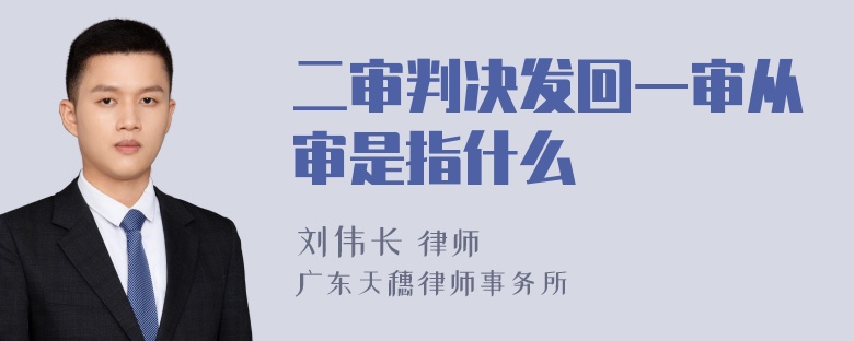 二审判决发回一审从审是指什么