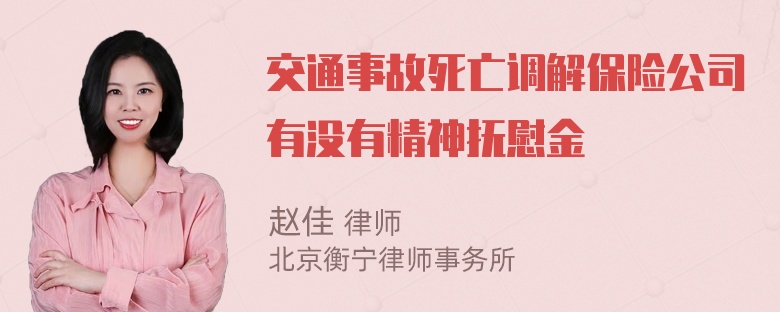 交通事故死亡调解保险公司有没有精神抚慰金