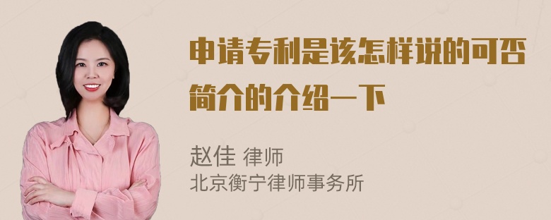 申请专利是该怎样说的可否简介的介绍一下