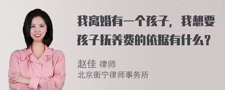 我离婚有一个孩子，我想要孩子抚养费的依据有什么？