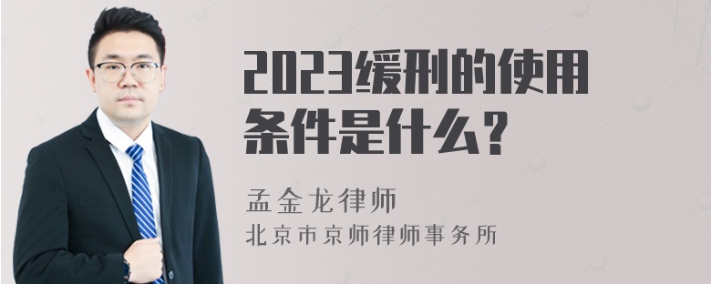 2023缓刑的使用条件是什么？