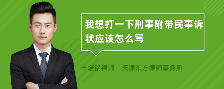 我想打一下刑事附带民事诉状应该怎么写