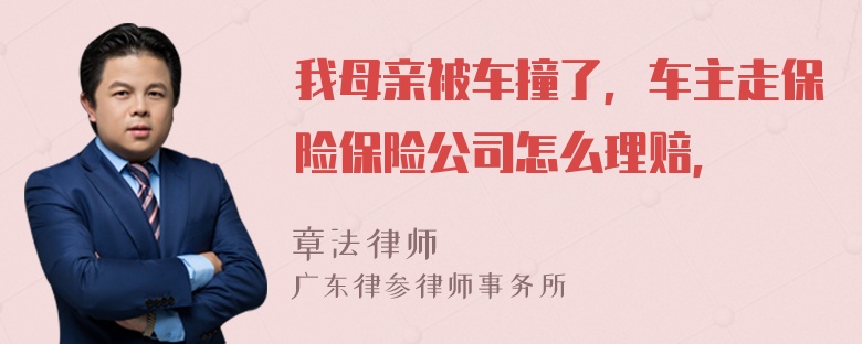 我母亲被车撞了，车主走保险保险公司怎么理赔，