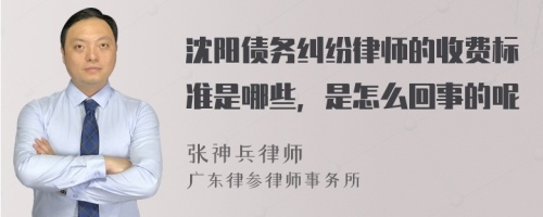 沈阳债务纠纷律师的收费标准是哪些，是怎么回事的呢