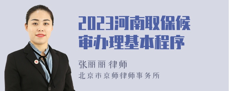 2023河南取保候审办理基本程序