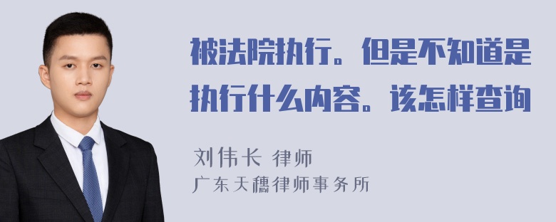 被法院执行。但是不知道是执行什么内容。该怎样查询