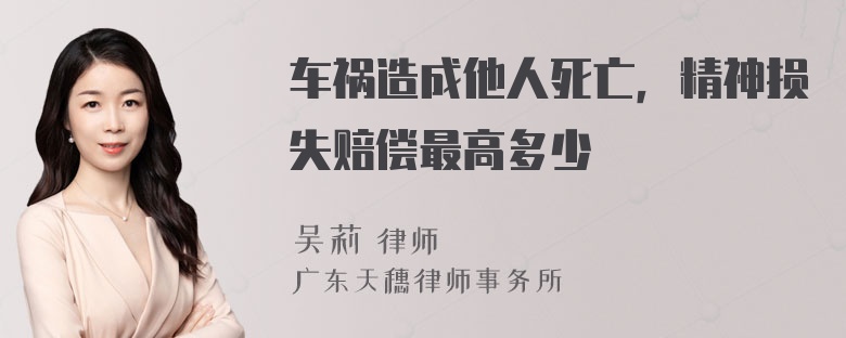 车祸造成他人死亡，精神损失赔偿最高多少