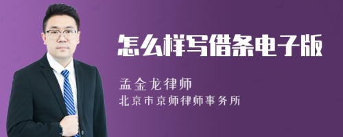 怎么样写借条电子版