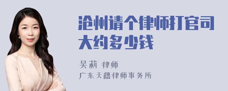 沧州请个律师打官司大约多少钱